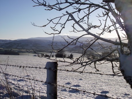 Distant Pen-y-Fan